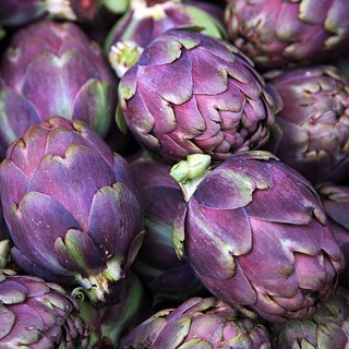 10 เมล็ด อาร์ติโชคสีม่วง - Purple Artichoke (สวย หายาก กินได้)