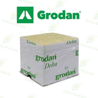 Rockwool Grodan เพาะต้นกล้า เพาะเมล็ด เพาะชำ ไฮโดรโปนิกส์ hydroponics