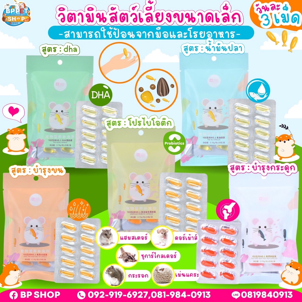 (Ratima) ตามินหนูแฮมเตอร์ สกัดจากน้ำมันตับปลา และ สารสกัดจาก DHA สำหรับสัตว์เลี้ยง yee วิตามินสัตว์เล็ก