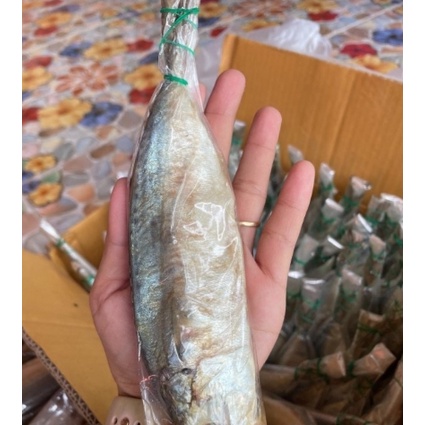 ปลาทูหอม ปลาทูมัน แบ่งขายเป็นตัวๆ 20 ตัว 195