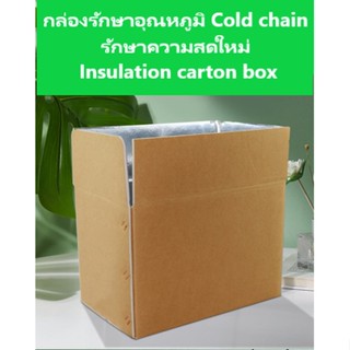 กล่องเก็บอุณหภูมิรักษาความเย็น กล่องโฟม ลังรักษาความเย็น Cold chain ( 3ใบ )