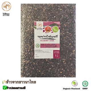 🌾จมูกข้าวไรซ์เบอรร์รีปลอดสาร ข้าวใหม่ ตราไก่สีทอง แพคสูญญากาศ 1 KG  ข้าวทำโจ๊ก ข้าวเด็ก