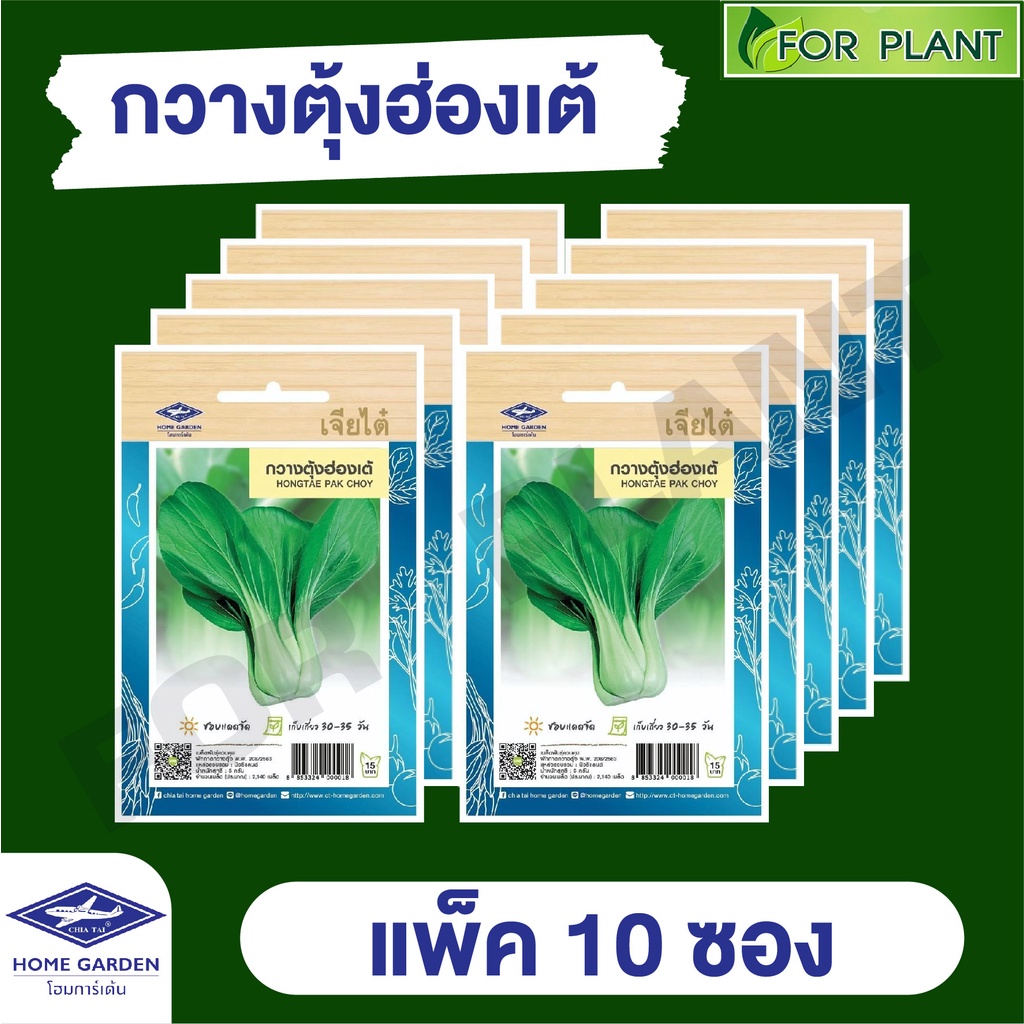 ขายส่ง เมล็ดพันธุ์ ผักซอง ยกแพค เจียไต๋ ราคาถูก บรรจุแพ็คละ 10 ซอง  CT15 {คละชนิดได้ กดใส่ตะกล้าไว้ก่อนยืนยันสั่งซื้้อ)