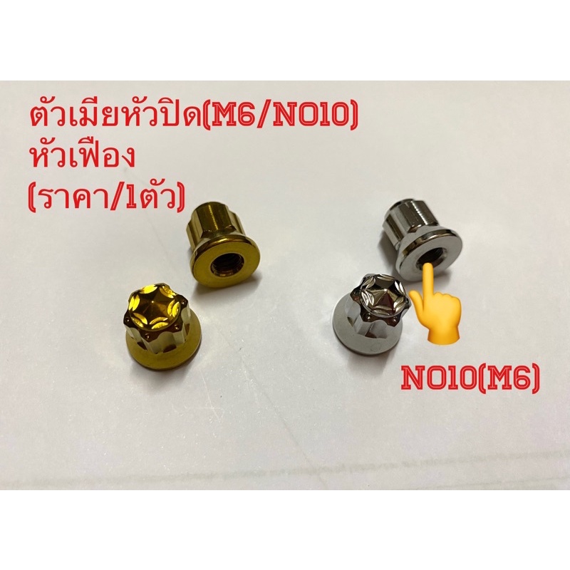 ตัวเมียสเตนเลสหัวปิดM6(No10)หัวเฟือง(H1/V2) ราคา/1ตัว
