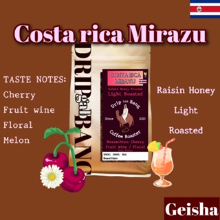 เมล็ดกาแฟคั่วอ่อน Costa rica🇨🇷 Mirazu Raisin honey (Geisha) โทนเชอร์รี่ดอง ไวน์ผลไม้ ดอกไม้ (Drip gab bang ดริป กับ บัง)