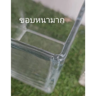 กระถางแก้วใสทรงกลม และทรงสี่เหลี่ยม ใช้ปลูกต้นไม้ จัดดอกไม้ สวยเหมาะกับทุกบ้าน