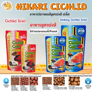 อาหารปลาหมอสี Hikari Cichlid Gold อาหารปลา สูตรเร่งสี เร่งโต โปรตีนสูง ช่วยให้ปลาแสดงสีสันที่สดใส ชนิดเม็ดลอย, เม็ดจมน้ำ