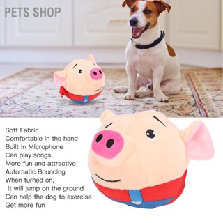 Pets Shop ลูกบอลกระเด้งอิเล็กทรอนิกส์ ชาร์จ Usb ล้างทําความสะอาดได้ สําหรับสัตว์เลี้ยง สุนัข หมู