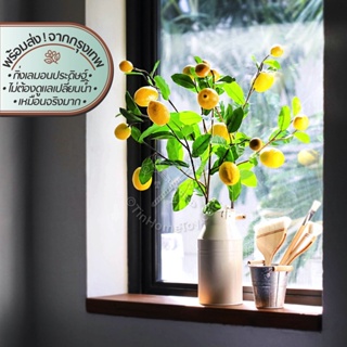 Faux Lemon Branch | กิ่งลูกเลม่อนเทียม | ต้นไม้ ดอกไม้ ใบไม้ ไม้เลื้อย ไม้ประดับ เทียม ปลอม ประดิษฐ์ เหมือนจริง ตกแต่ง