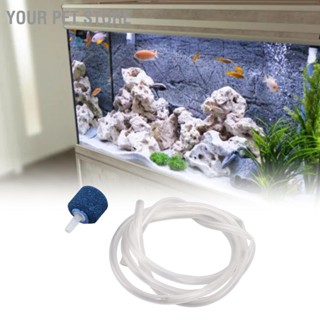 Your Pet Store Fish Tank Bubble Stone with Hose Air Pump Accessories for Hydroponic System Pond Aquarium