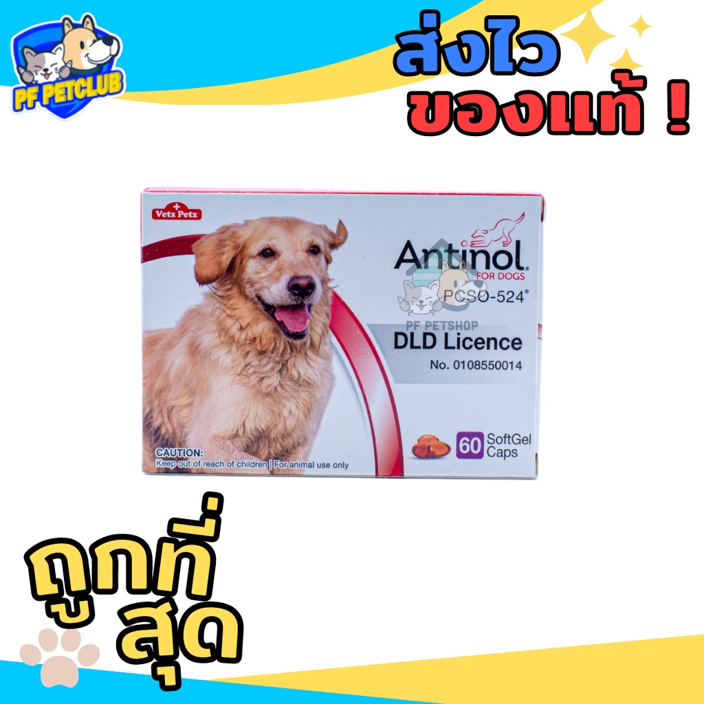 Antinol บำรุงข้อต่อ 🐶 แบ่งขาย 15 / 30 / 60 แคปซูล ของแท้ การันตีถูกสุด