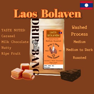 เมล็ดกาแฟคั่วลาว🇱🇦 Laos Bolaven​ คั่วกลาง โทนคาราเมล  มิ้ลค์ช็อคโกเเลต ผลไม้นิดๆ (Drip​ gab​ bang​ -​ ดริป​ กับ​ บัง​)​