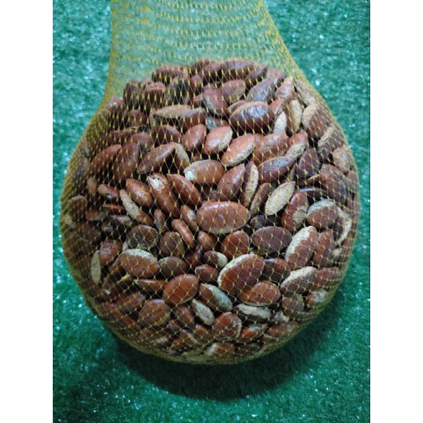 เม็ดกระบก เก็บปีนี้สดใหม่