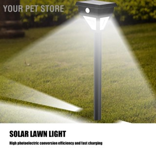 Your Pet Store Solar Garden Light IP65 Waterproof Induction Automatic LED Landscape Lamp for Lawn Yard Patio 6V