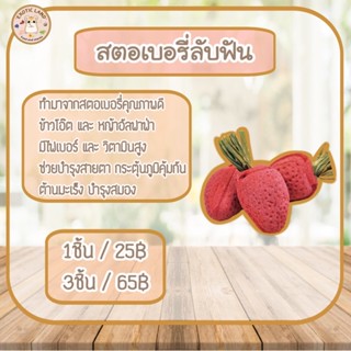 [Exotic land] สตอเบอรี่ลับฟัน สำหรับสัตว์ฟันแทะ