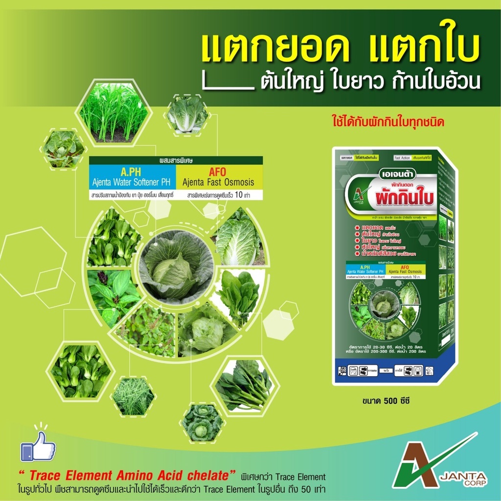 ผักกินดอก ผักกินใบ เอเจนต้า ใช้กับผักกินดอก กินใบ ได้ทุกชนิด เร่งใบหนา ใบใหญ่ เขียวเข้ม   (1 ขวด) - รูปที่ 2