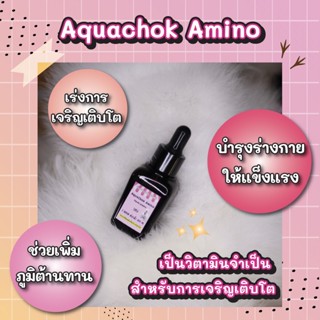 Aquachok Amino - วิตามินและอะมิโนเพิ่มความสมบูรณ์แข็งแรงสำหรับไก่ซิลกี้