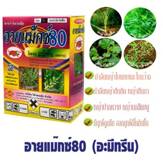 อายแม๊กซ์ อะมีทรีน80 ชนิดเม็ด ตราเข้แดง ขนาด1กก. สารฆ่า กำจัดหญ้าวัชพืชใบกว้าง ใบแคบในไร่อ้อย สัปปะรด สวนส้ม ไร่ชากาแฟ