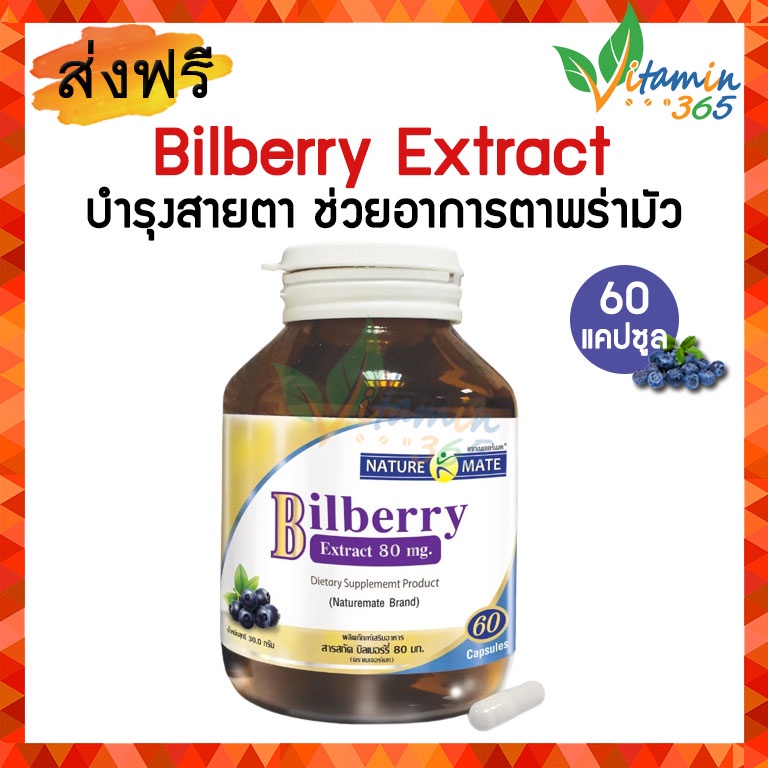 Springmate Bilberry Extract 80 mg สปริงเมท บิลเบอร์รี่สกัด บำรุงสายตา 60 แคปซูล