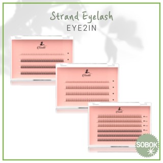 [EYE2IN] Strand Eyelash ขนตาปลอม