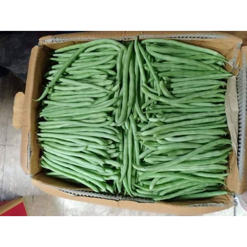 #ถั่วแขกสดใหม่ขายถูก 500 กรัม
