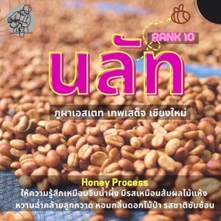 กาแฟคั่วอ่อน “นลัท” Honey Process 100 กรัม | Omni Roast กาแฟจากภูผาเอสเตท ดอยสะเก็ต จ.เชียงใหม่ rank 10