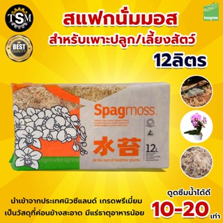 สแฟกนั่มมอส 12 L. ( มีของพร้อมส่ง ) 1 ชิ้น Sphagnum Moss นำเข้าจากนิวซีแลนด์  มอสสำหรับเพาะกล้าคุณภาพดี