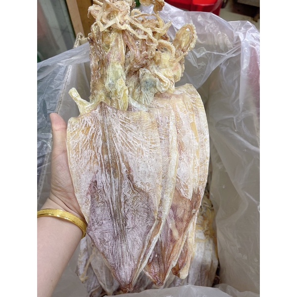 ปลาหมึกปัตตานี สด ใหม่ อร่อย เนื้อหนา หวาน ขนาด9นิ้ว 500g（鱿鱼9寸）