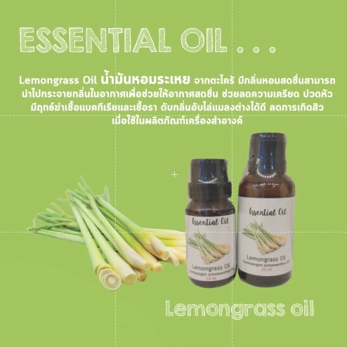 น้ำมันหอมระเหย กลิ่น ตะไคร้บ้าน Lemongrass oil Essential น้ำมันหอมระเหยธรรมชาติ หอมระเหยธรรมชาติ