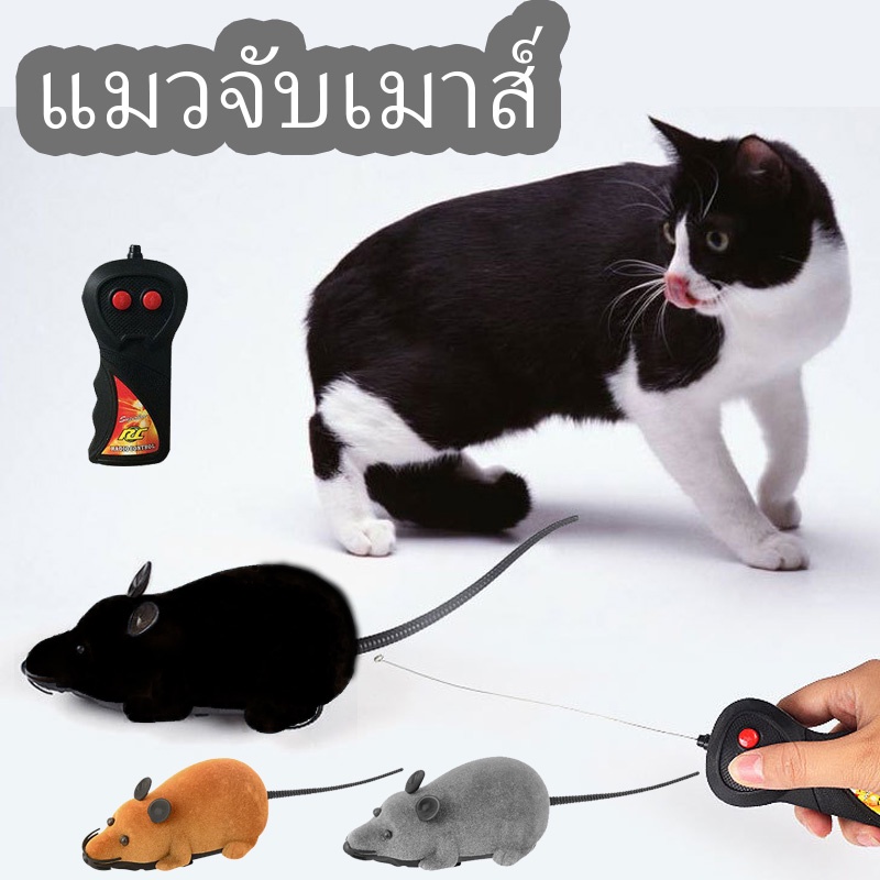 ของเล่นแมว 🐀 ของเล่นสัตว์เลี้ยง การควบคุมระยะไกล แมวจับเมาส์ สัตว์เลี้ยงของเล่นควบคุมระยะไกล ของเล่นหนู