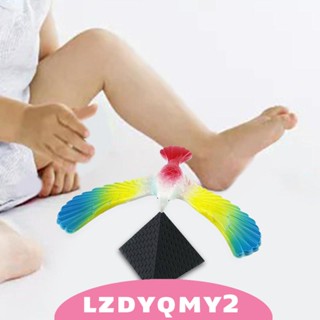 [Lzdyqmy2] ของเล่นนกสมดุล เพื่อการเรียนรู้ สําหรับออฟฟิศ