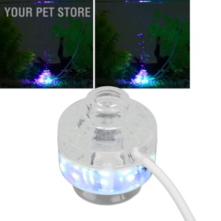 Your Pet Store Submersible LED Pool Lights Colorful Waterproof Mini Fish Tank Bubble Light for Pond Fountain Aquariums