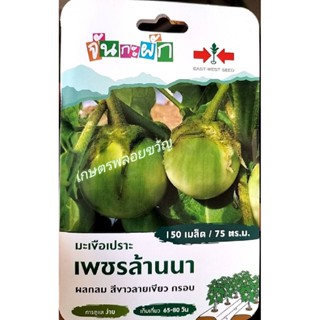 เมล็ดพันธุ์ มะเขือเปราะ มะเขือ 🍆หมดอายุ07/11/2566🍆เพชรล้านนา🌱บรรจุ150เมล็ด ผลกลม สีขาวลายเขียว กรอบ