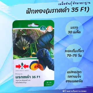 เมล็ดพันธุ์ ฟักทอง (มรกตดำ 35 F1) *ศรแดง บรรจุ 30 เมล็ด