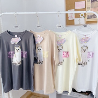 (พร้อมส่ง)JELLY BEAN เสื้อยืด แมว oversize โอเวอร์ไซส์ ลายแมวสุดน่ารัก ผ้าคอตตอนแท้ 100%  ใส่สบาย ผ้านิ่ม มี4สี