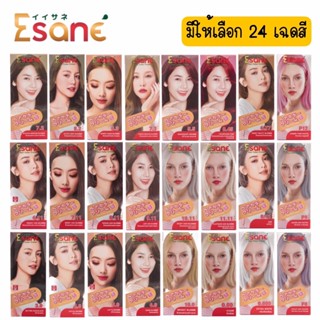 ESANE Hair Color Cream มีให้เลือก 24 เฉดสี อีซาเน่ แฮร์คัลเลอร์ ครีม 100มล.