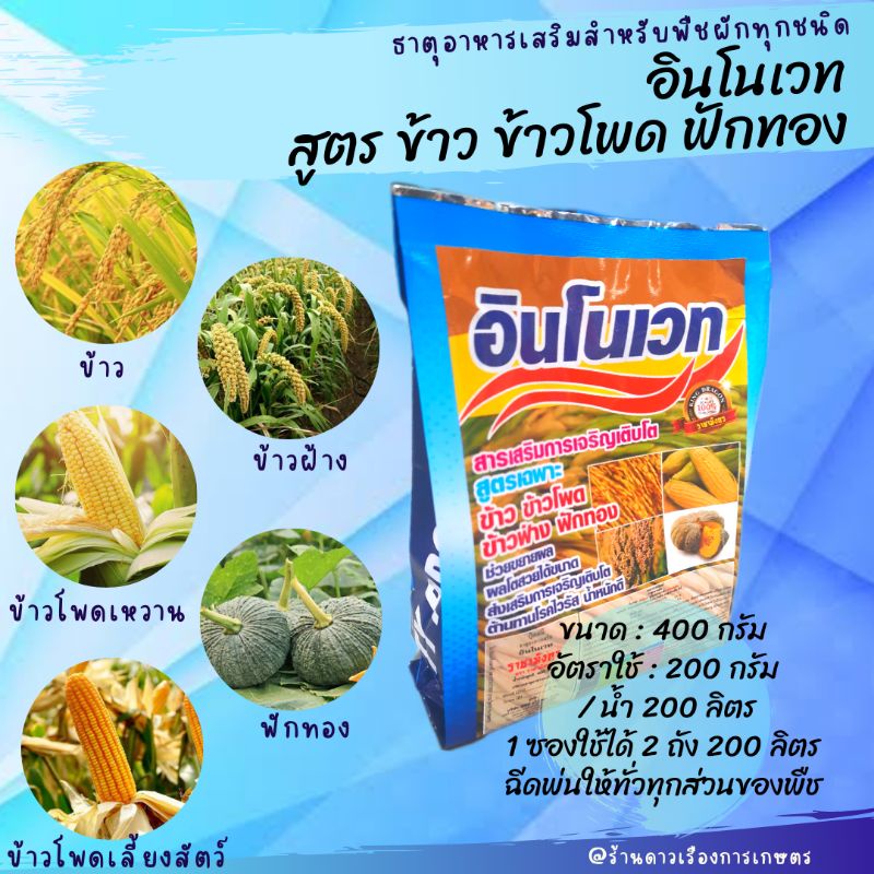 อินโนเวท สูตร ข้าว,ข้าวโพด,ฟักทอง ขนาด 400 กรัม ธาตุอาหารที่พืชแต่ละชนิดต้องการ เพิ่มความสมบูรณ์ เพิ่มผลผลิต