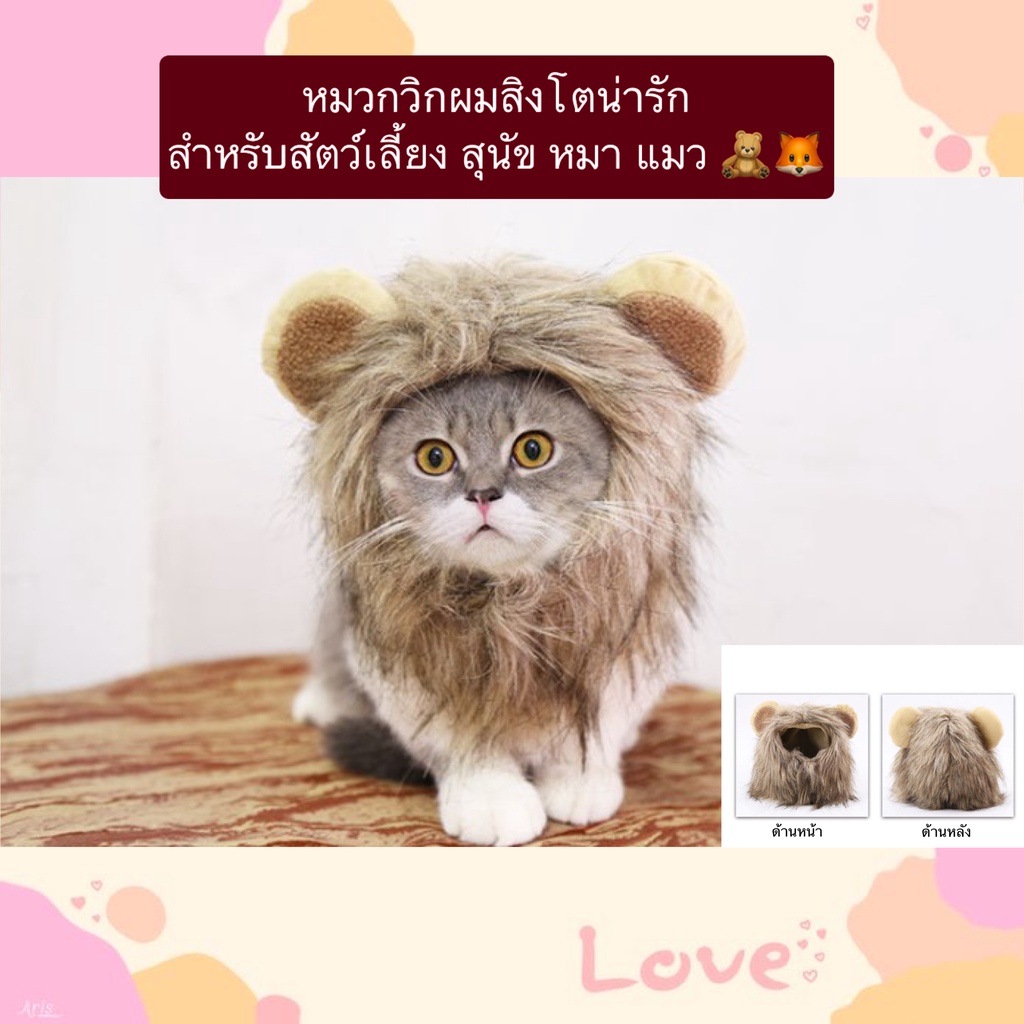 AL-419 หมวกวิกผมสิงโตน่ารัก สำหรับสัตว์เลี้ยง สุนัข หมา แมว ราคาถูก พร้อมส่ง
