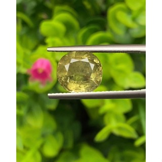 พลอย บุษราคัม (yellow sapphire) 3.37 กะรัต (Cts.) ดิบ (Unheated) พร้อมใบเซอร์ พลอยแท้ อัญมณีมงคลประจําวันเกิด เครื่องประ