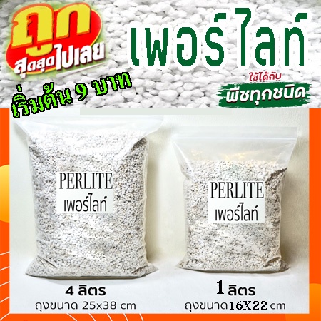 เพอร์ไลท์ (Perlite) พร้อมส่ง วัสดุปลูก