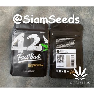 เมล็ดกัญชา Fastbuds Banana Purple Punch Auto Cannabis Seeds (Pack of 3)