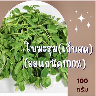 [เก็บสดจากต้นส่ง] ใบมะรุมสด 100 กรัม ปลอดสารพิษ สมุนไพรออแกนิค 100%