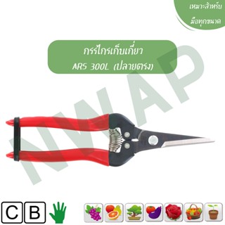 กรรไกรเก็บเกี่ยว ARS 300L (ปลายตรง) || Harvesting pruner ARS 300L