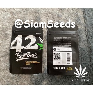 เมล็ดกัญชา Fastbuds Pineapple Express Auto Cannabis Seeds (Pack of 3)