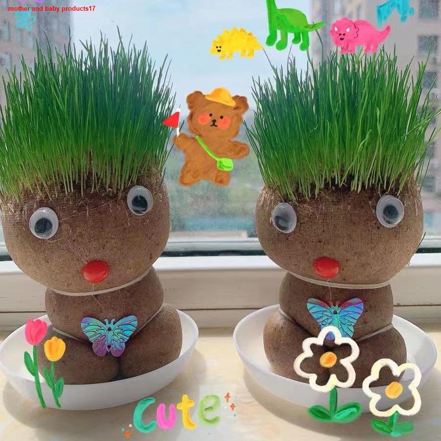 รองเท้าแตะพร้อมส่ง ตุ๊กตาหัวหญ้า หญ้าแมว กระถางสร้างสรรค์ ป้องกันรังสี อุปกรณ์ทำสวน ของเล่นเด็ก grass head