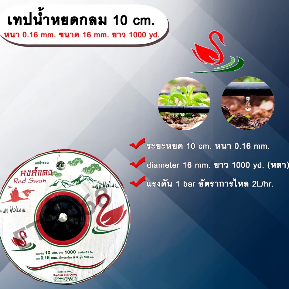 เทปน้ำหยด 10 cm. หนา 0.16 mm. ขนาด 16 mm. ยาว 1000 yd. ตราหงส์แดง  เทปน้ำหยด สายน้ำหยด แบบกลม ระยะห่