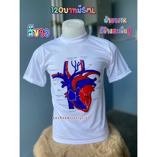 เสื้อยืดผ้าบางคอฟิต/เสื้อวินเทจ/หัวใจบาง