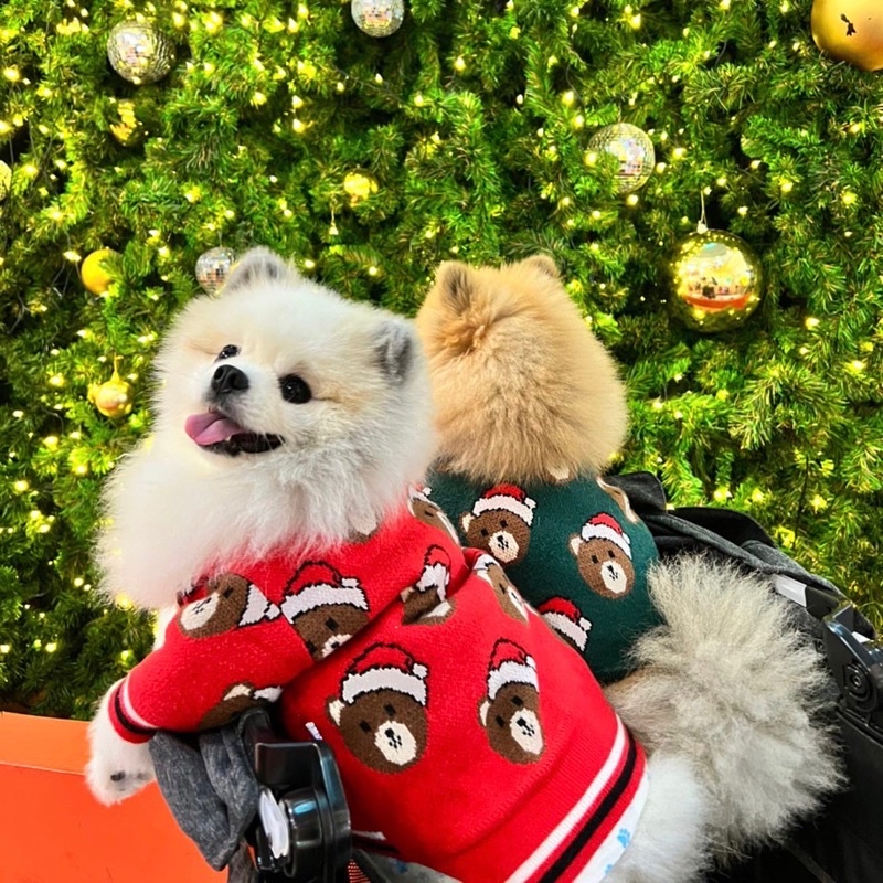 TEDDY CARDIGAN GREEN (เสื้อผ้าสำหรับน้องหมาน้องเเมว)