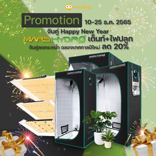 Promotion จับคู่ Happy New Year