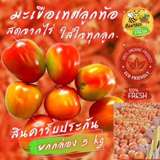 🍅มะเขือเทศพีช(ท้อ)กล่อง 5 กิโล สั่งมะเขือเทศจากฟาร์มของเรา คุณสามารถคาดหวังผลผลิตที่สดใหม่รสชาติดี โดยการรับประกันของเรา